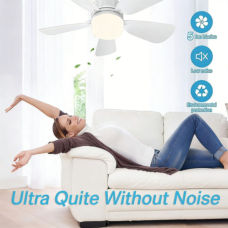 E27 vis ventilateur de plafond - Decor Lighting Ceiling Fans avis et prix