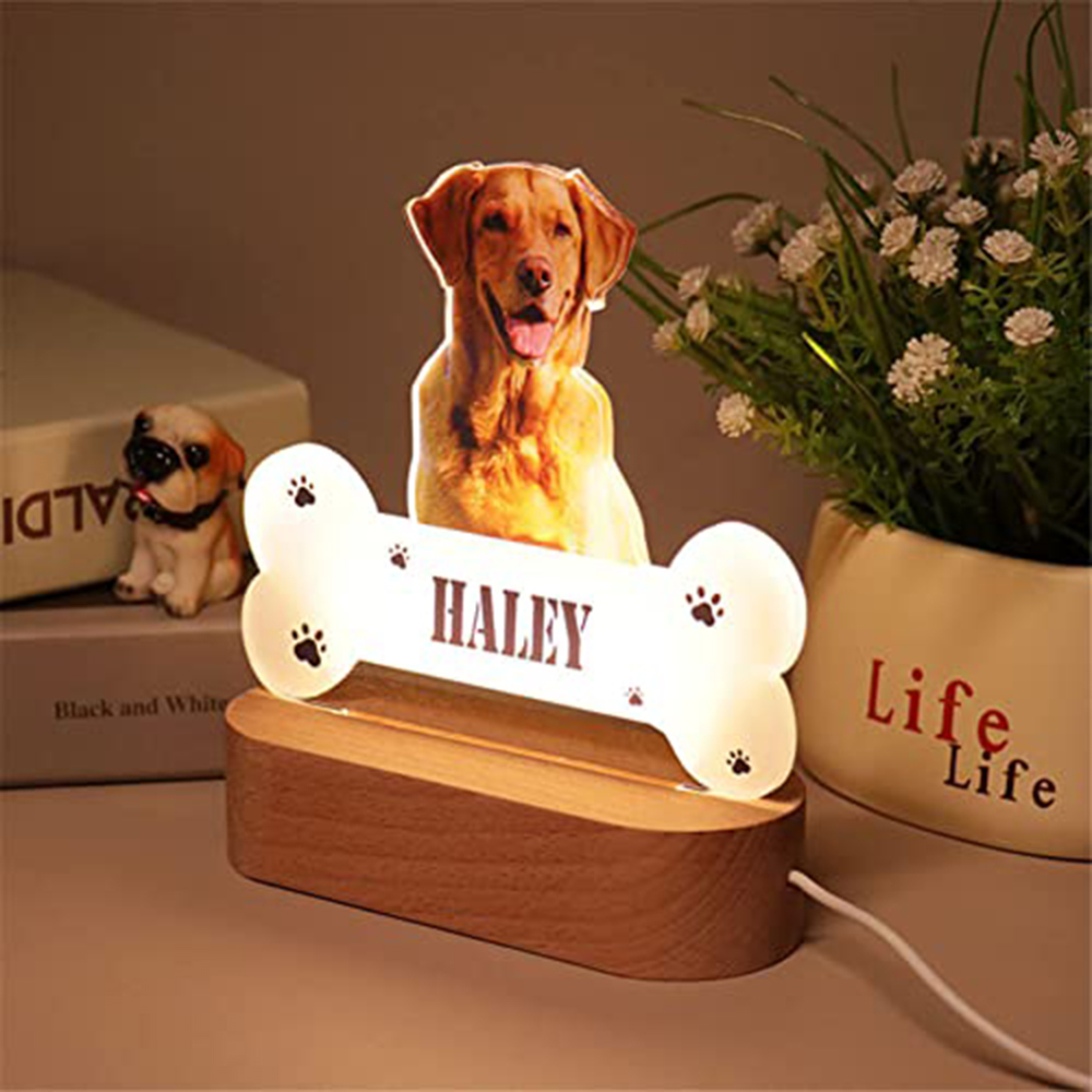 Veilleuse en acrylique pour an - Lighting Decor Photos avis et prix